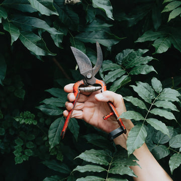 Gardening