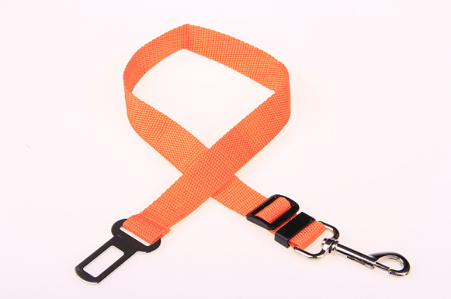 Fixed Strap Polyester Dog Strap