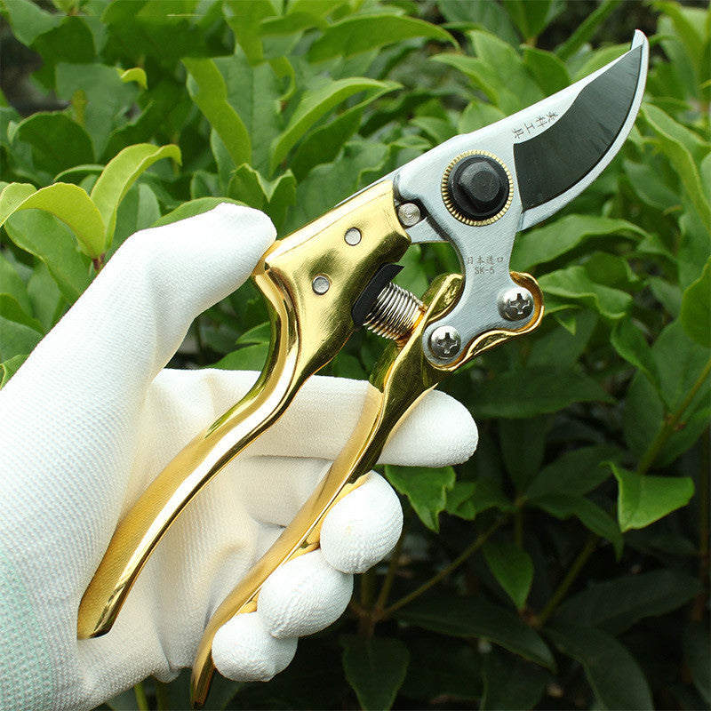 Scissors Pruning Gardening Tool