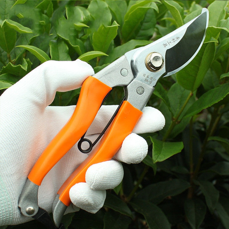 Scissors Pruning Gardening Tool