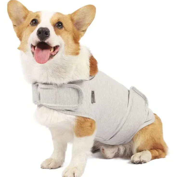 Anxiety Relief Jacket for Dogs