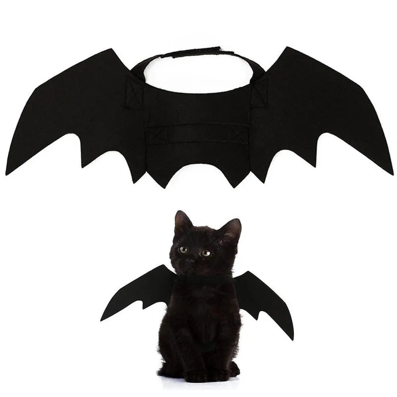 Halloween Cat Bat Wings