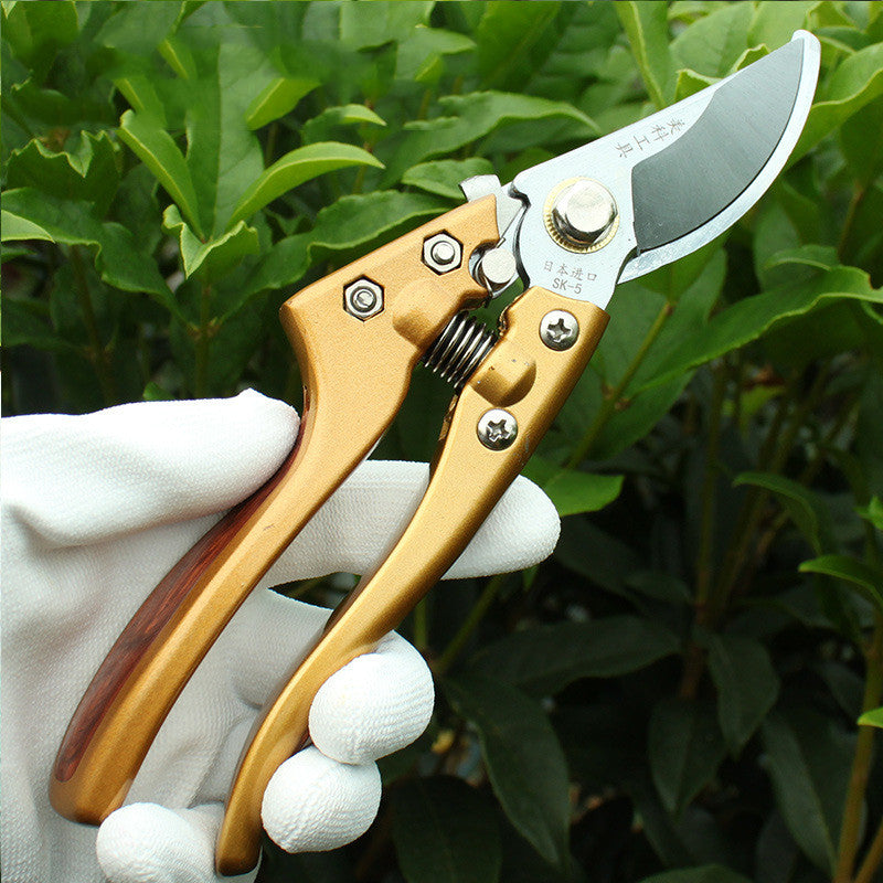 Scissors Pruning Gardening Tool